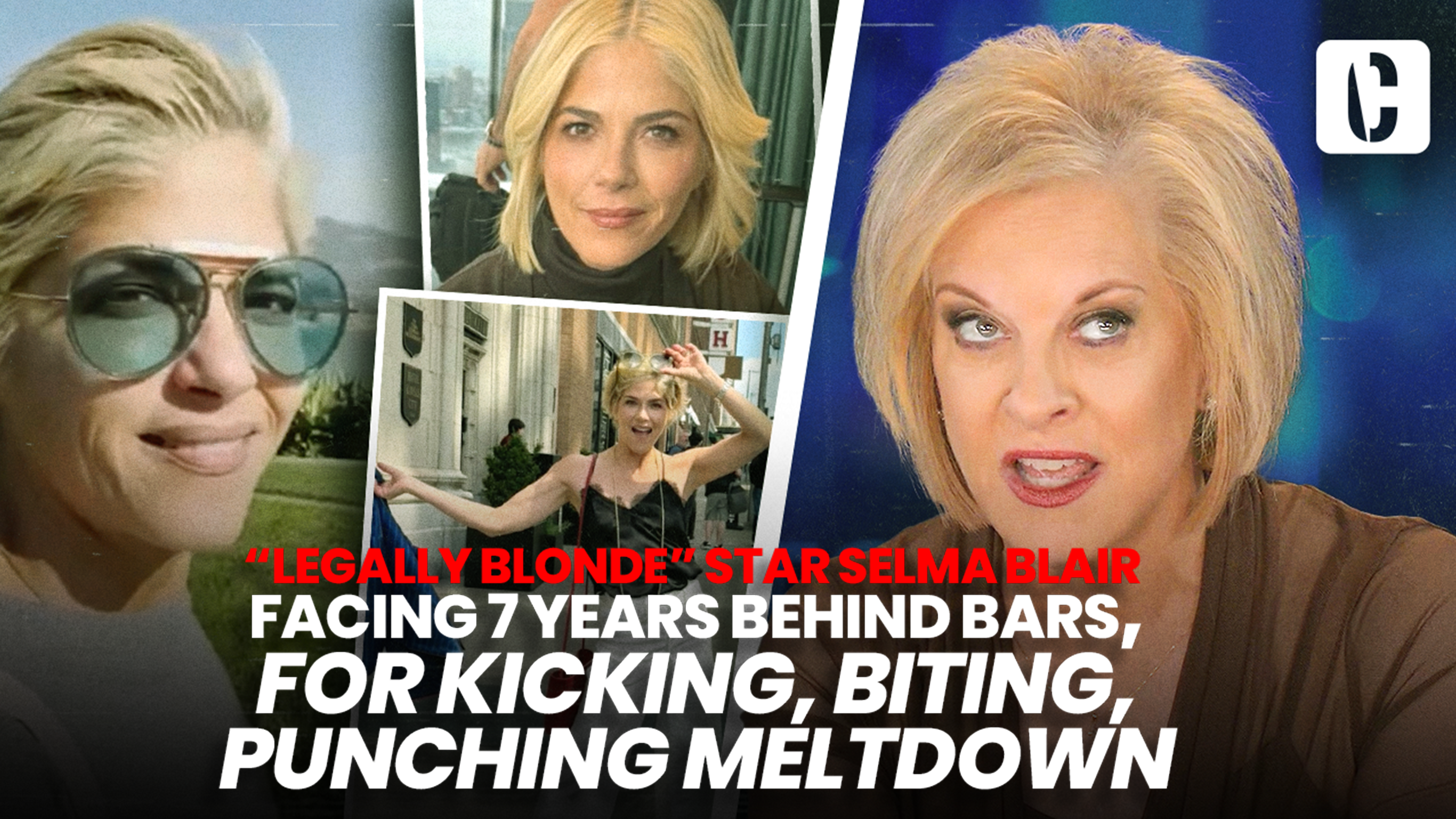 Selma Blair's Legal Battle: What Her In-Flight Outburst Reveals About Celebrity Accountability