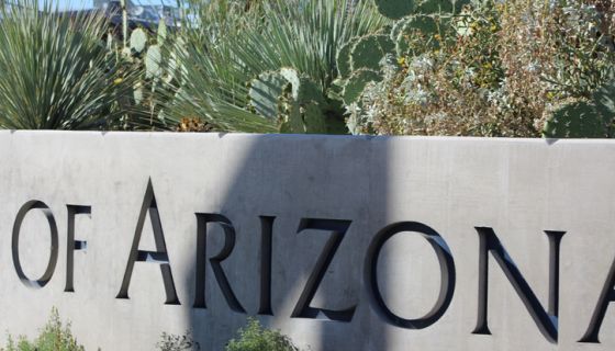 University of Arizona Fraternity Suspended: What This Means for Greek Life